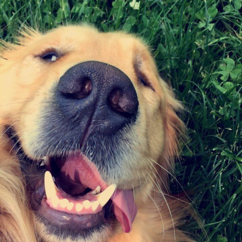 Meet your Posher, Adriana